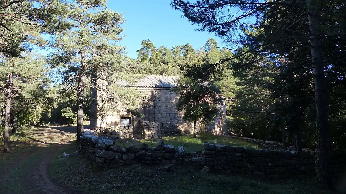 Carbonils Albanyà