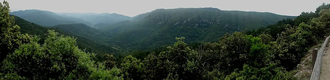 La Vall d'Albanyà des de la Serra de Corsavell, panoràmica