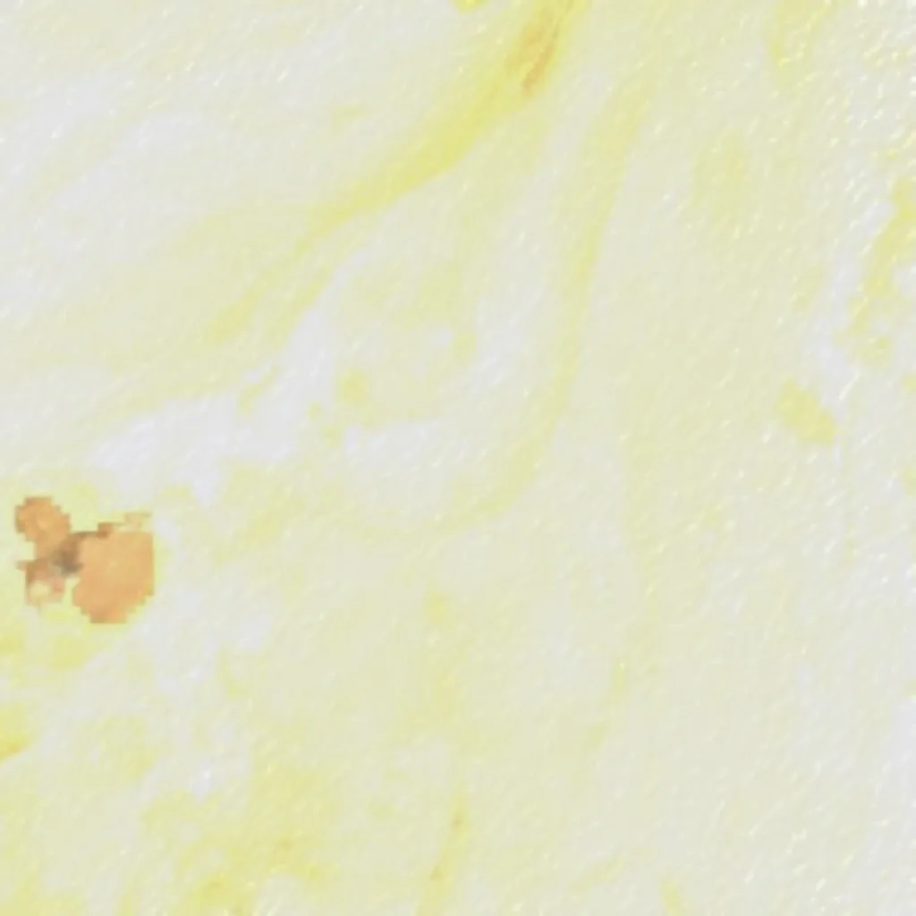Deserto Alvord visto dall'alto (Sentinel-2)