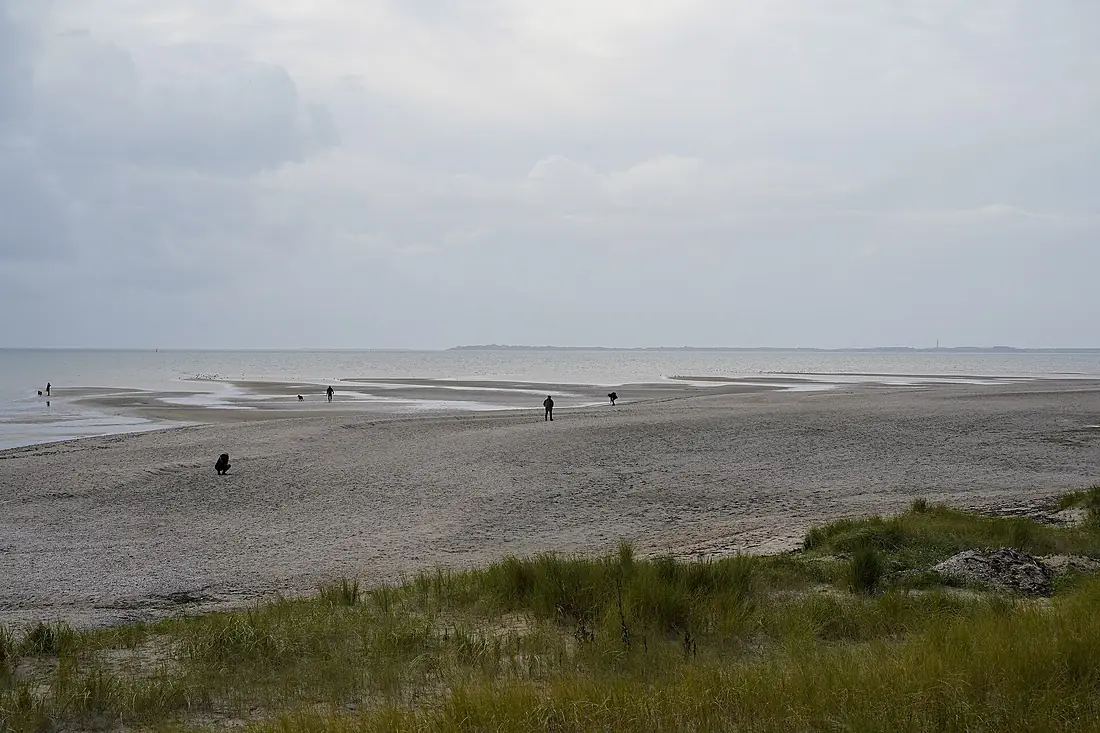 191008 Blick vom Bohlenweg Nieblum in Richtung Amrum