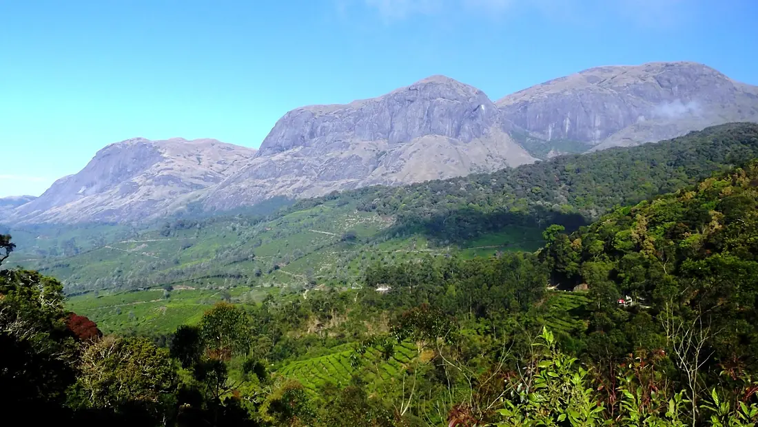Eravikulam National Park, Munnar - panoramio (9)