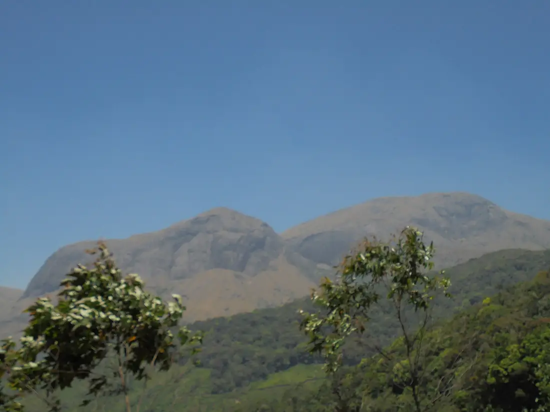 Anaimudi munnar