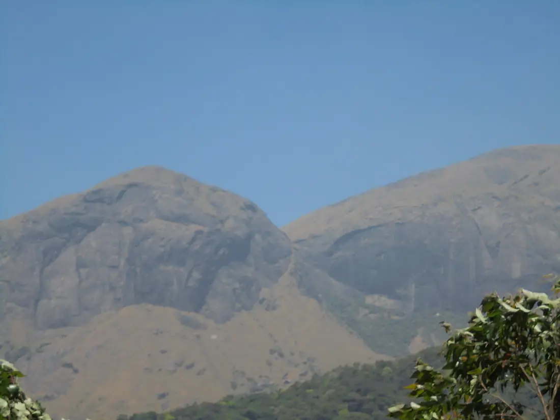 Anaimudi munnar1