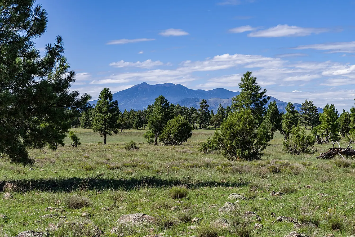 Arizona Trail- Anderson Mesa AZT-30 (36911594451)
