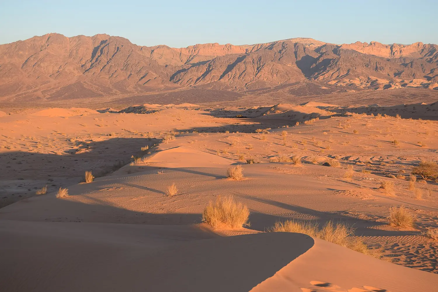 Wadi Araba Dunes at Sunset