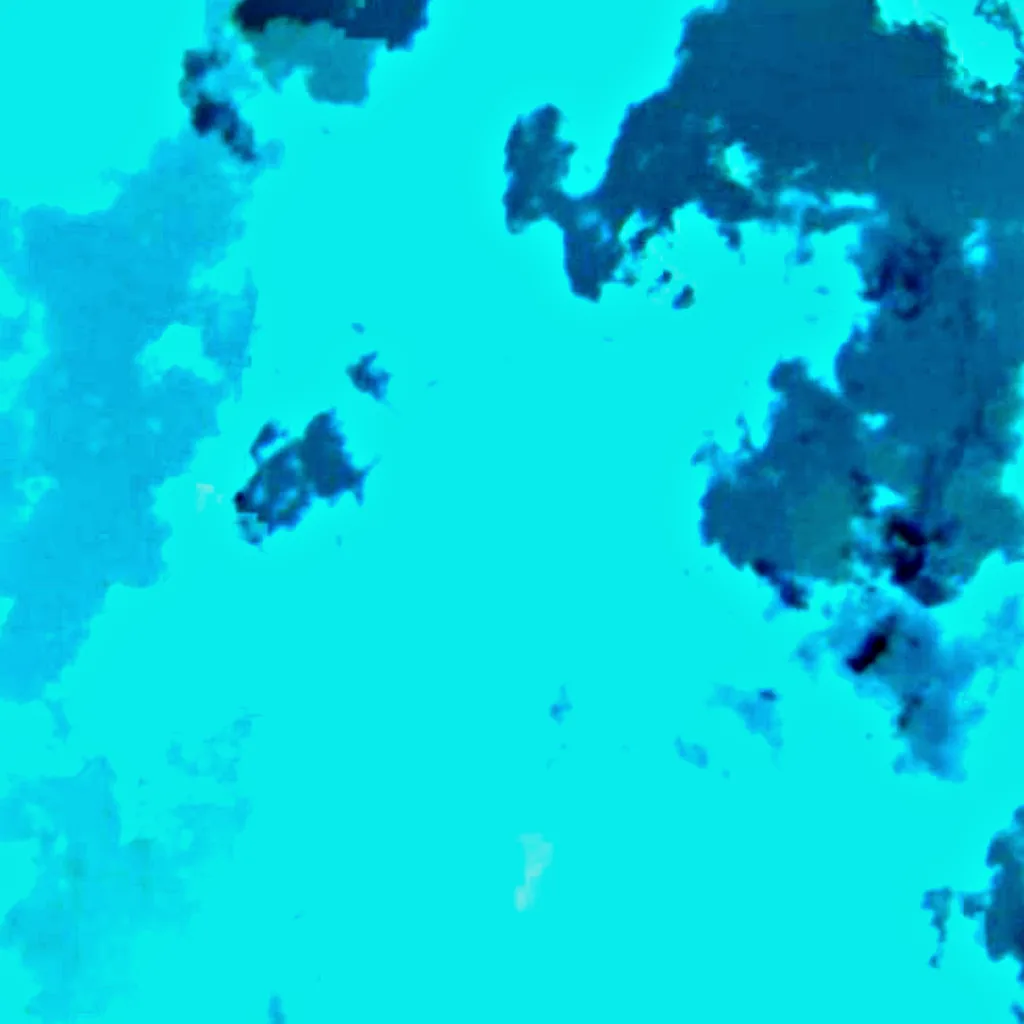 Lago Argentino visto dall'alto (Sentinel-2)