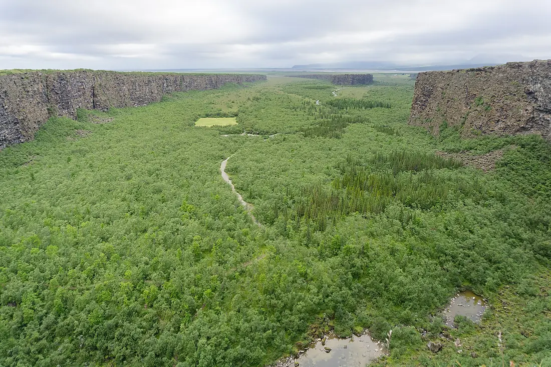 Canyon in Ásbyrgi, Hiking trail from Dettifoss to Ásbyrgi, Iceland 15