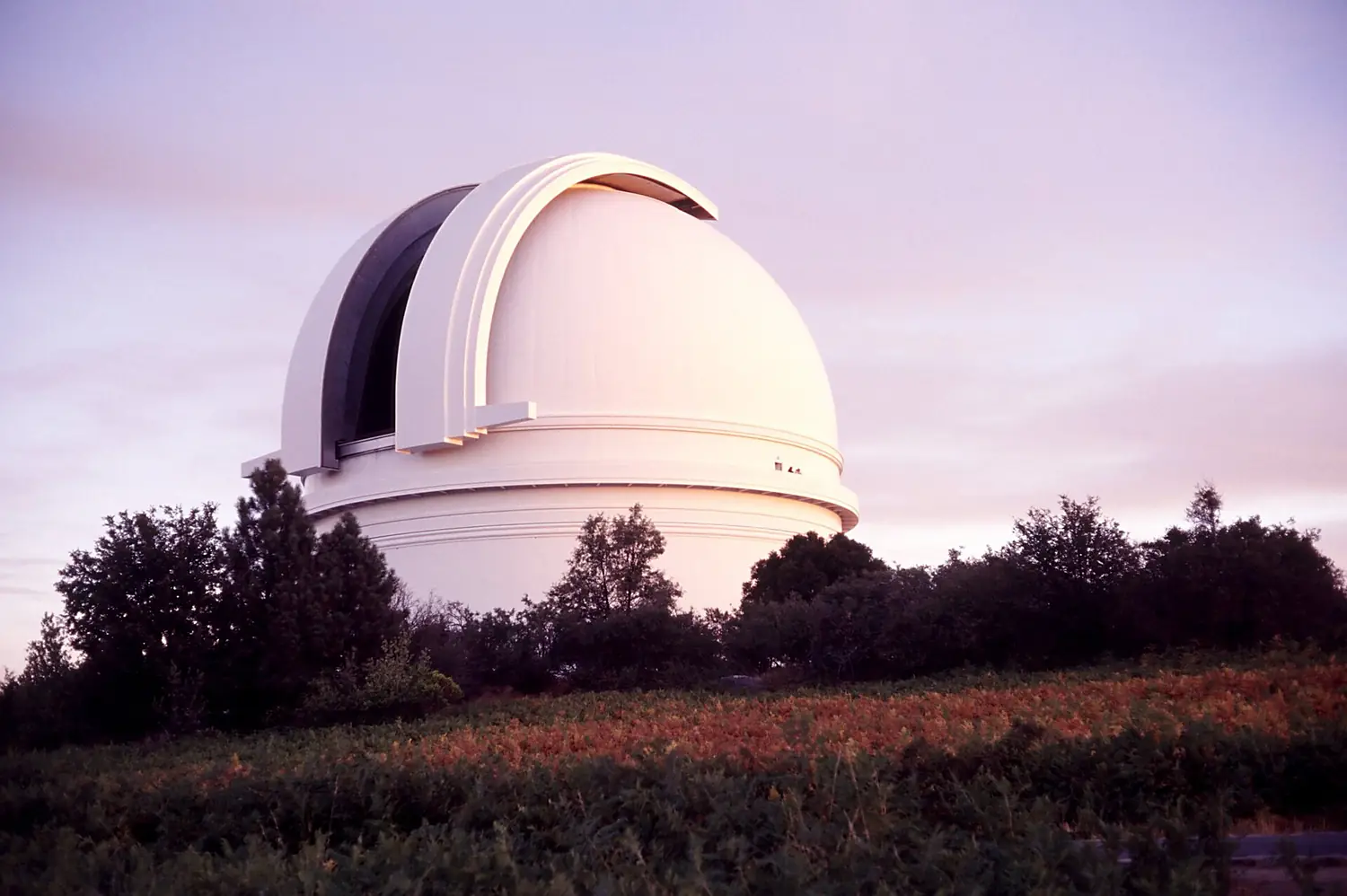 P200 Dome Open