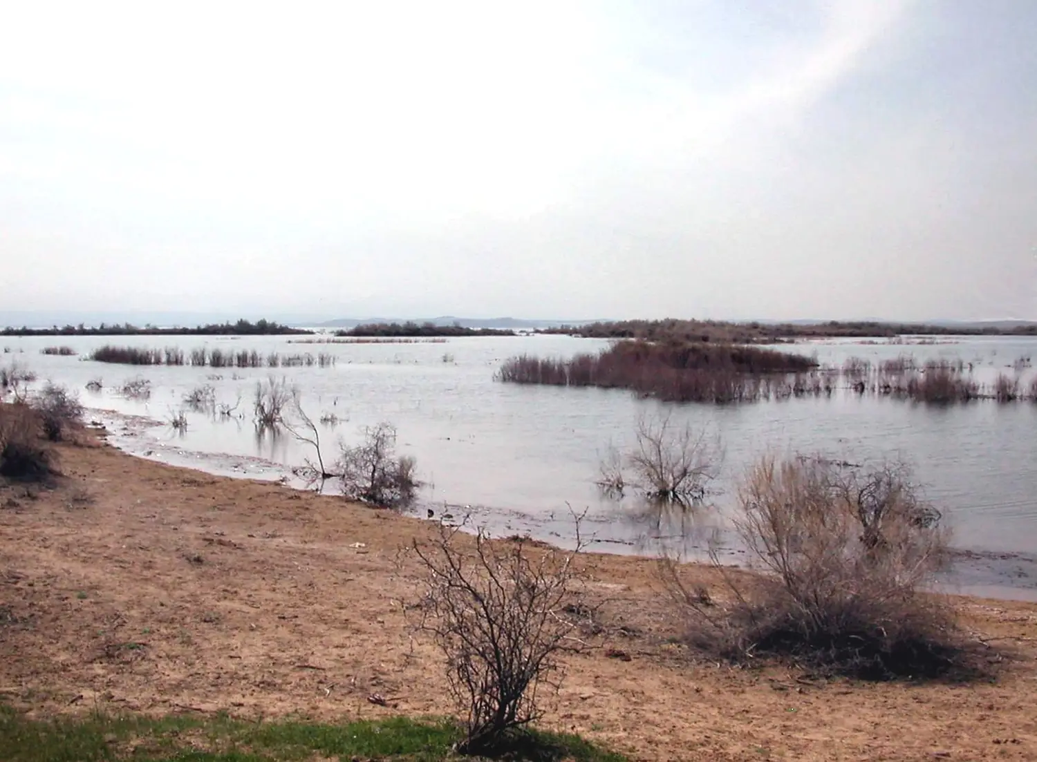 Aidar-Kul