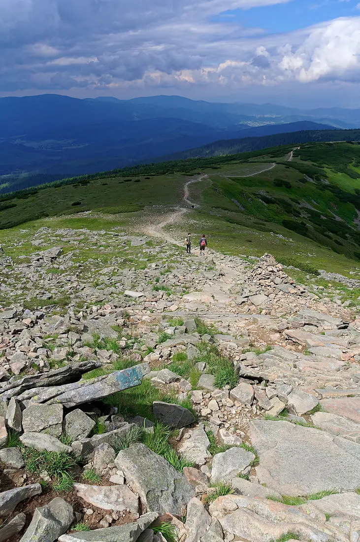 20180616 Babia Góra 1045 3881 DxO