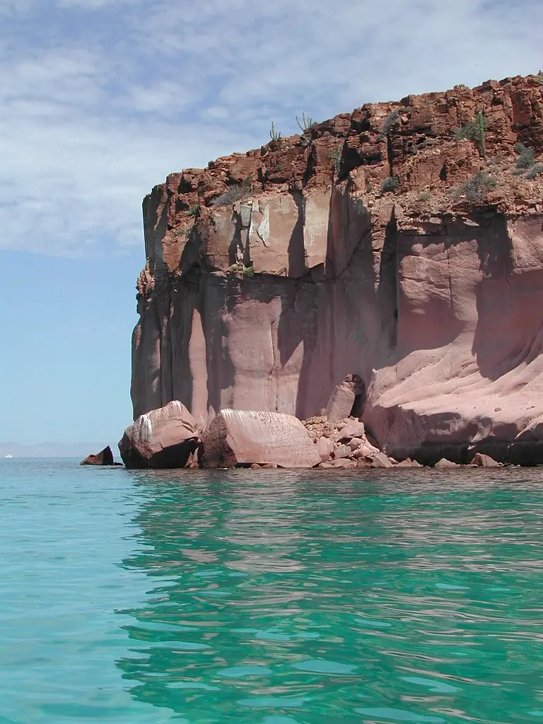Islands and Protected Areas of the Gulf of California-113594