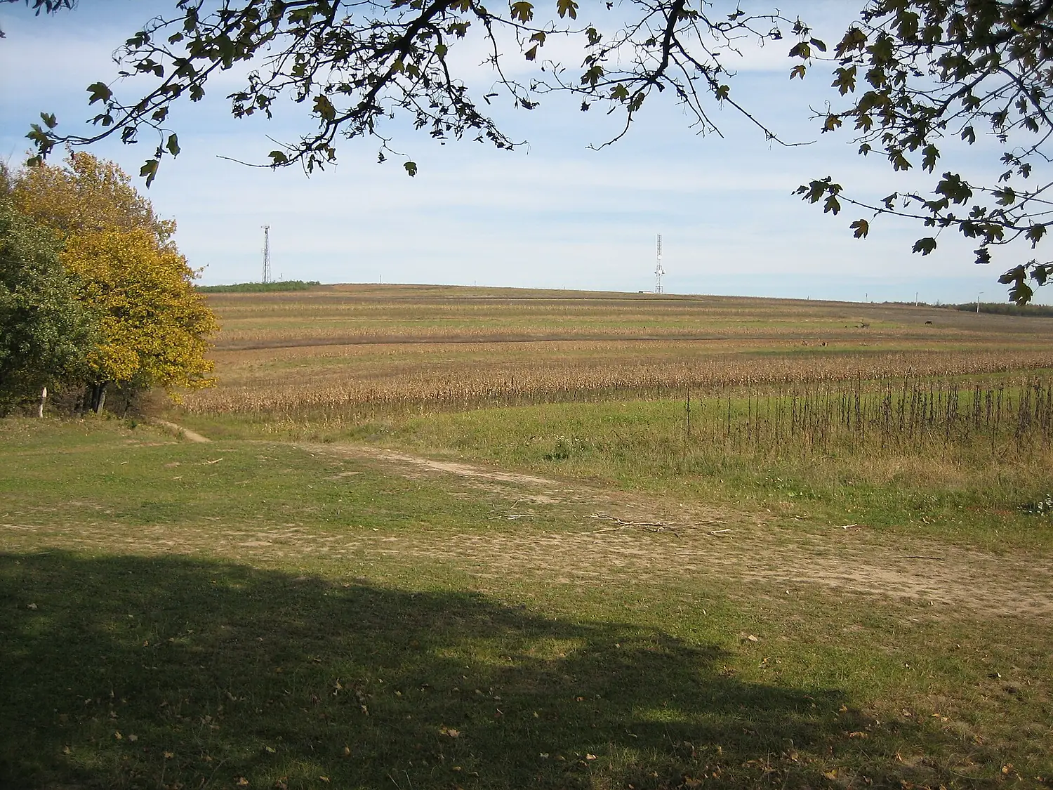 Dealul Bălănești