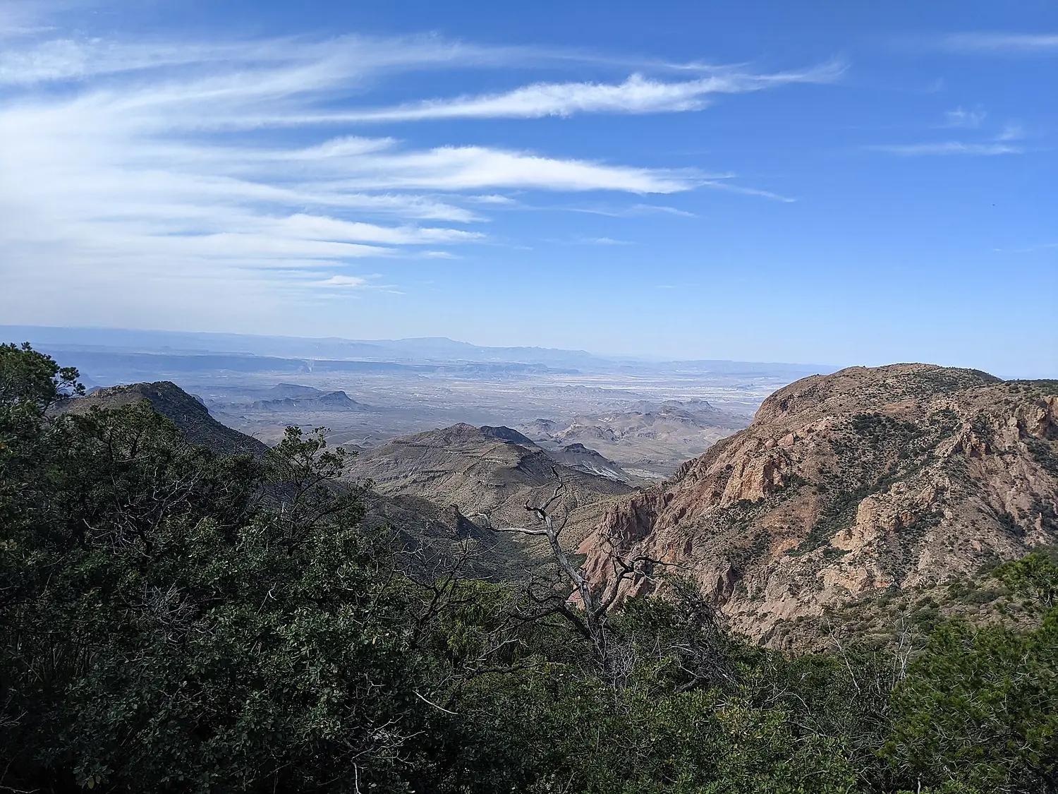 Big Bend South Rim