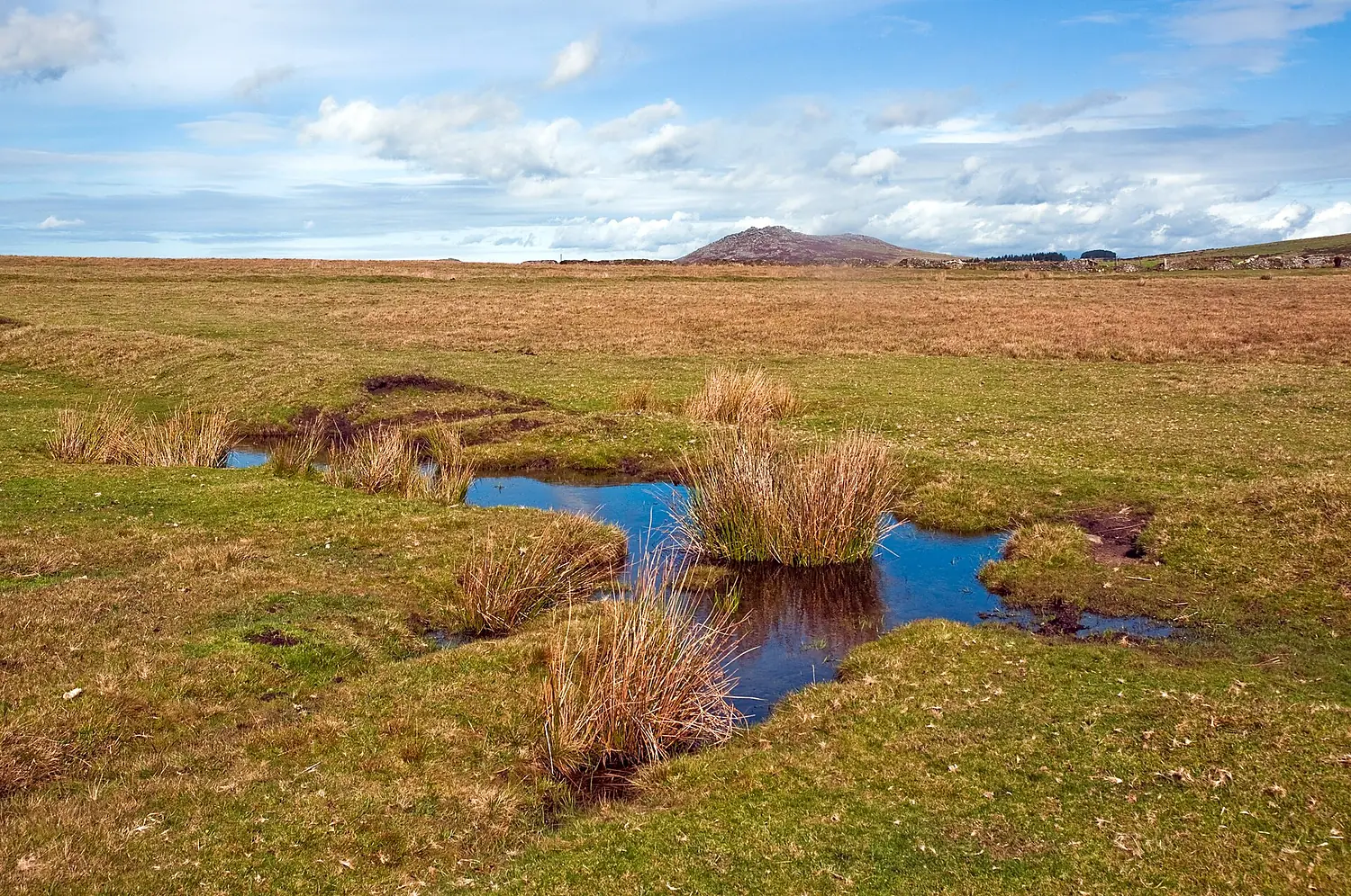 A walk on Bodmin Moor, Cornwall (1), 30 Sept. 2010 - Flickr - PhillipC