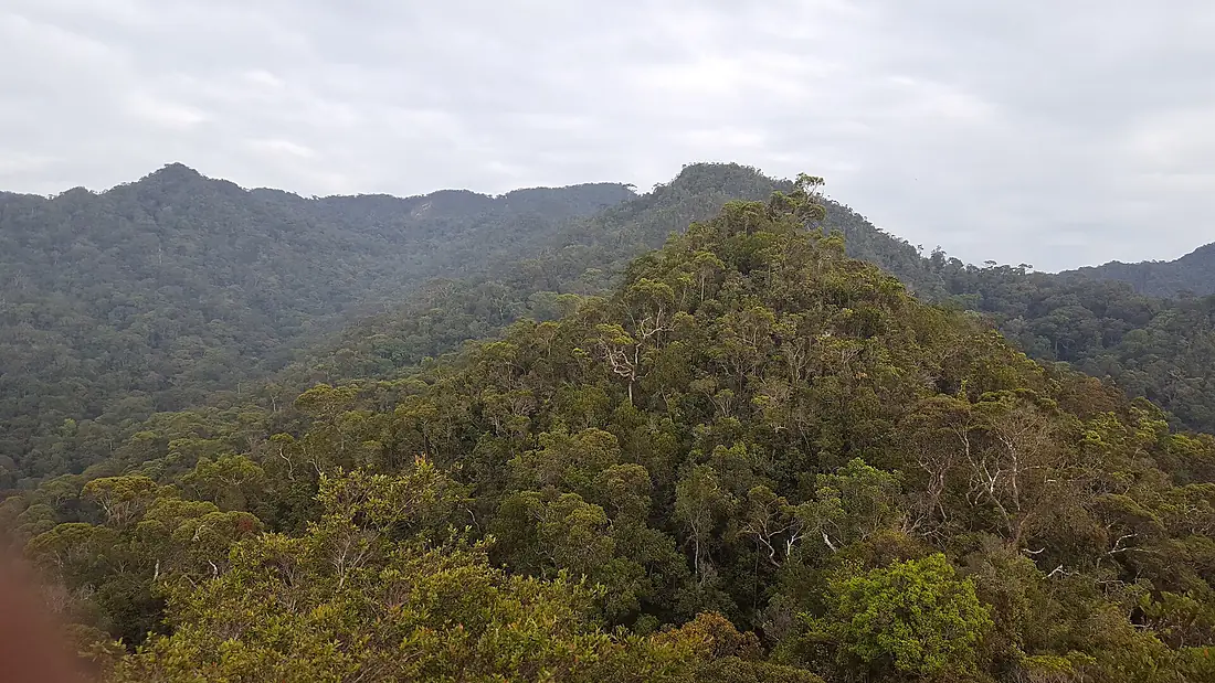 Bukit Pagon