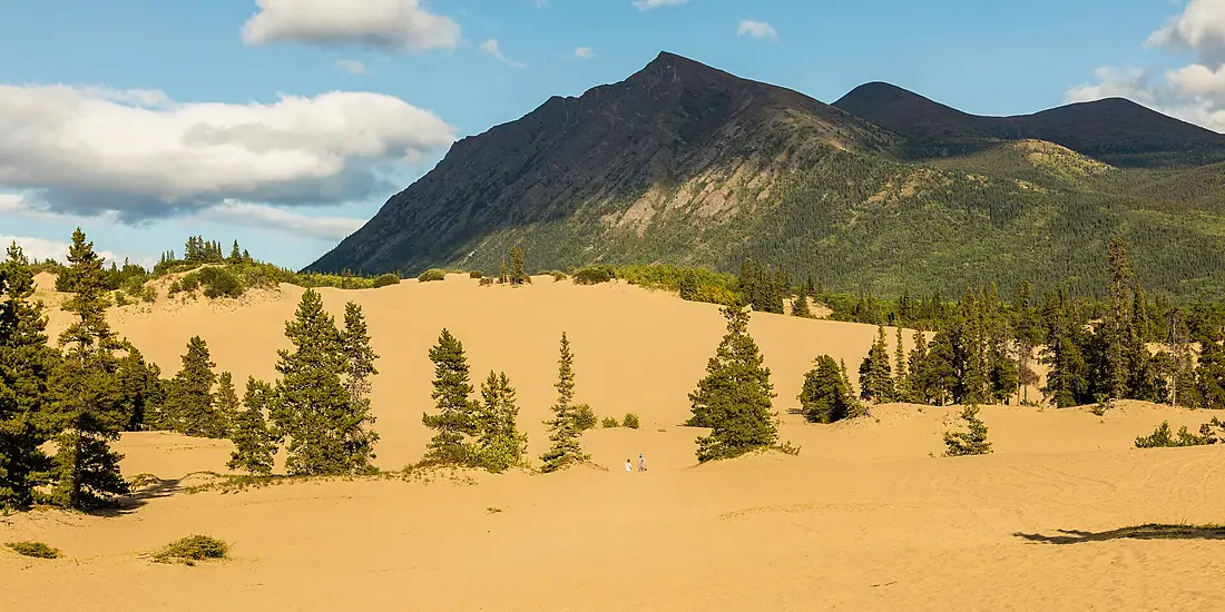 Desierto de Carcross, Yukón, Canadá, 2017-08-26, DD 107