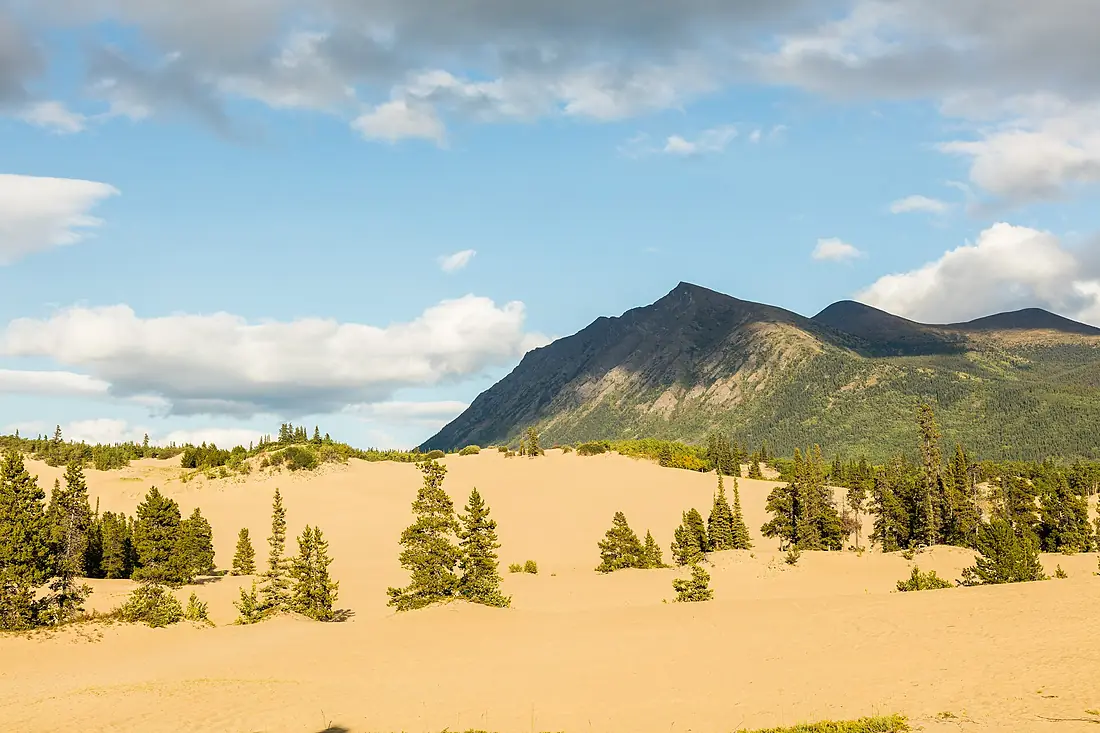 Desierto de Carcross, Yukón, Canadá, 2017-08-26, DD 113
