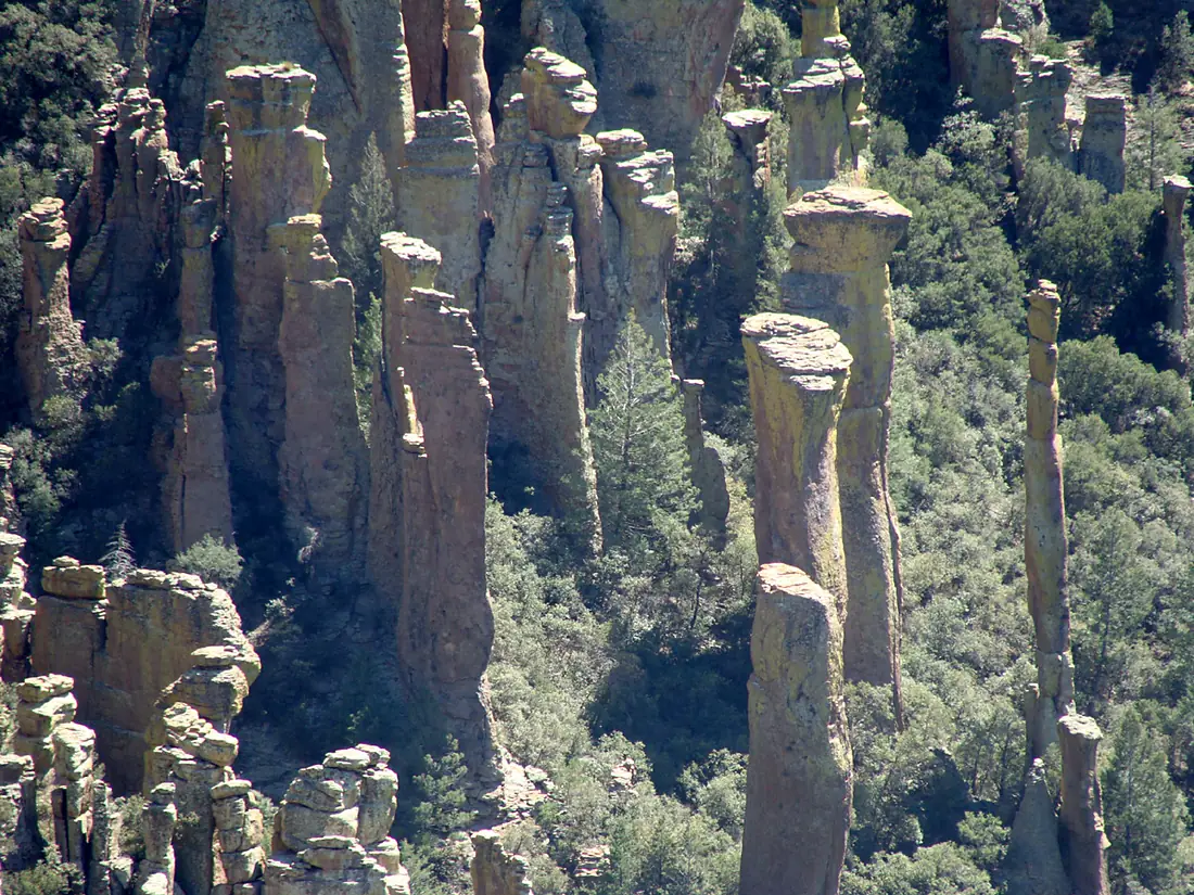 Chiricahua nima6