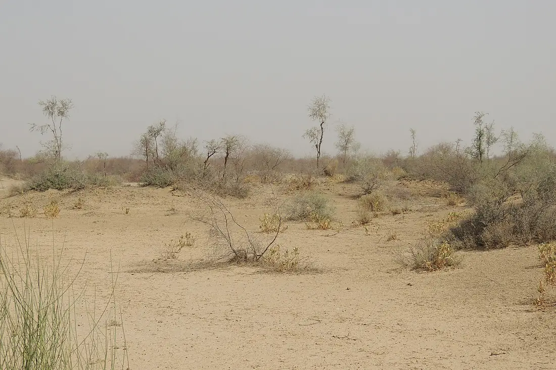 Cholistan pakistan
