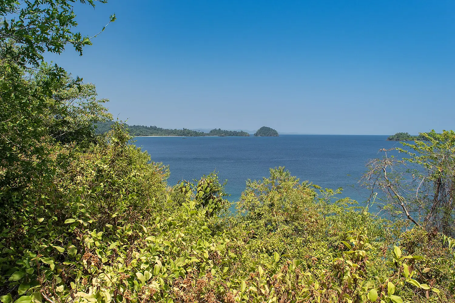 Coiba Panama (26216765884)