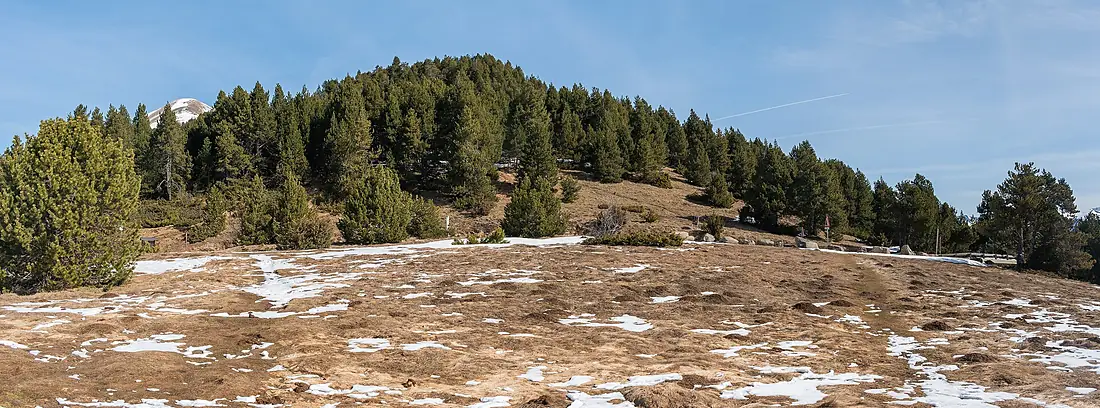 Coll d'Ordino (1)