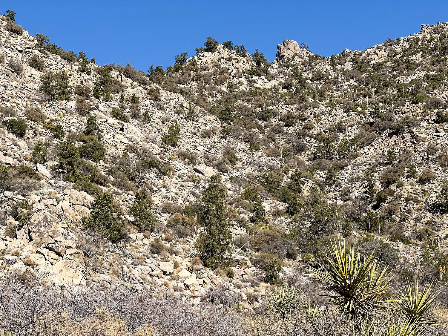 Asbestos Mountain, Riverside County, California