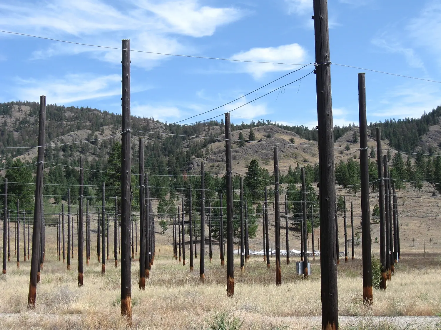 An earlier version of the antennas at this radio telescope near Penticton