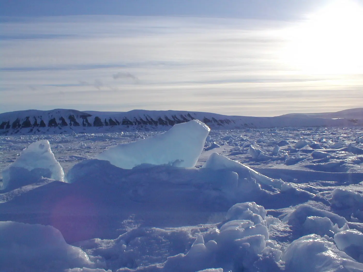 Seaice & Edgeøya