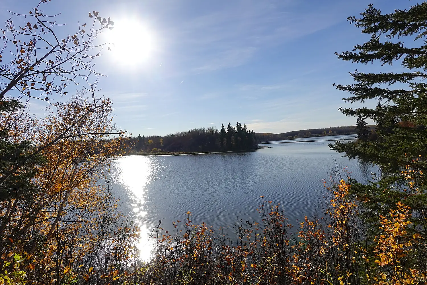 'Elk Island