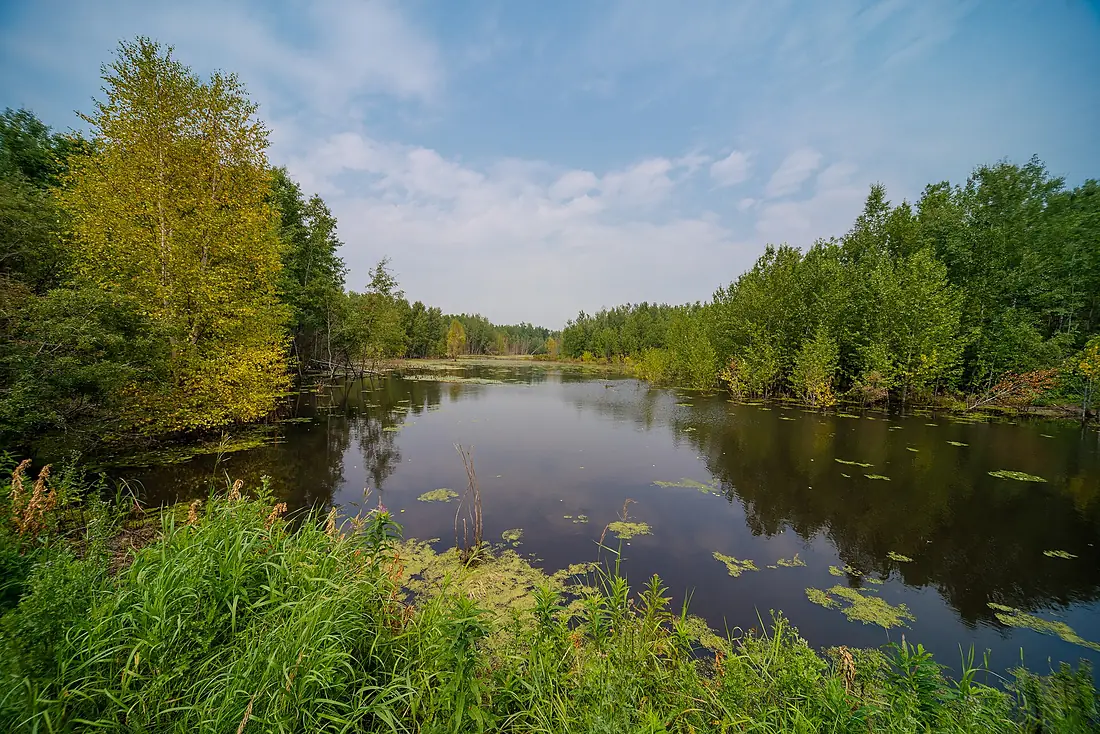 Beaver Pond Trail (36003633622)