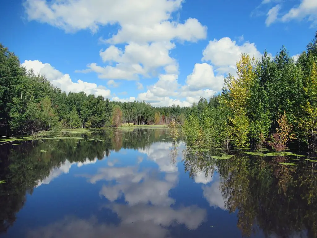 Beaver Pond Trail (27412106979)