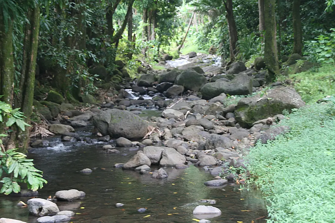 FatuIva HanavaveRiver 20061111