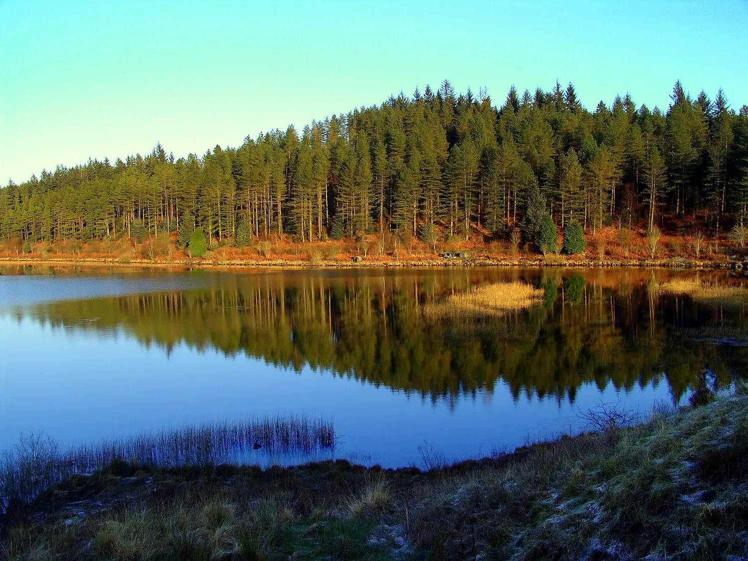 Galloway Forest Park - panoramio - Graham Thomson (1)