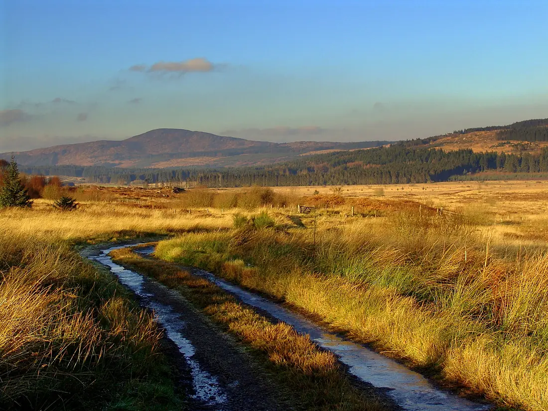 Galloway Forest Park - panoramio - Graham Thomson