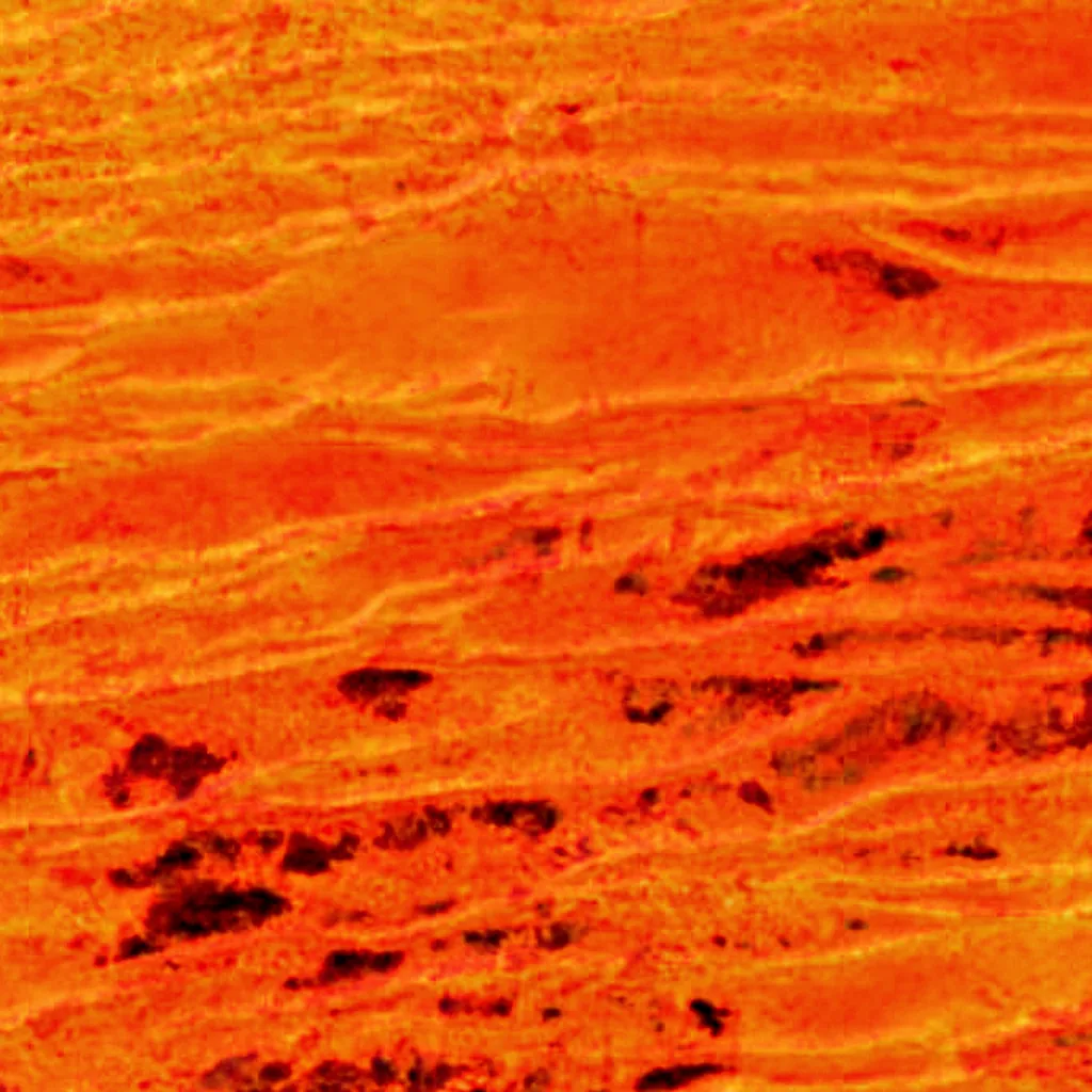 Desierto de Gibson visto desde arriba (Sentinel-2)