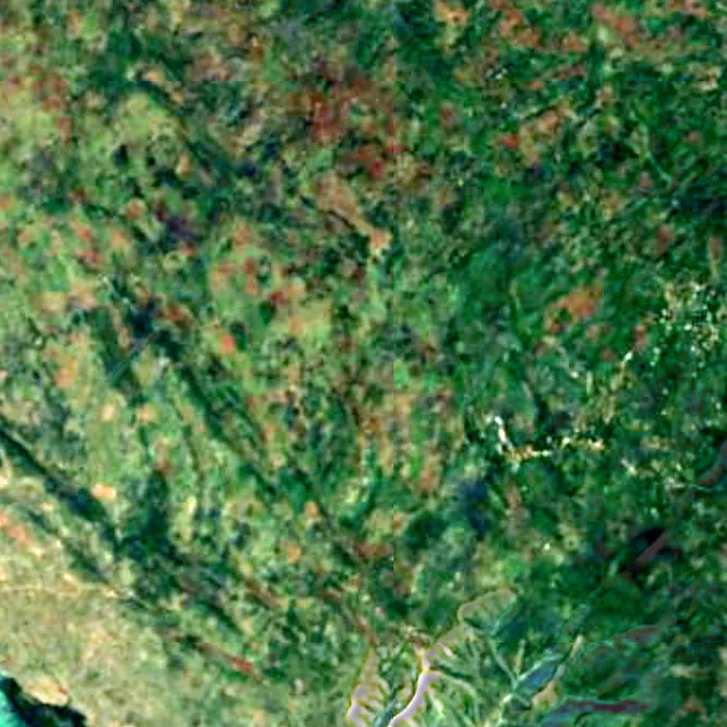 Isola de la Gonâve visto dall'alto (Sentinel-2)