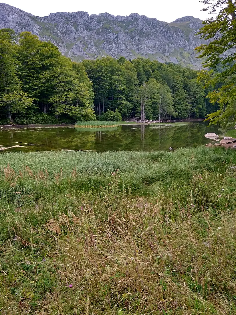 2018.08.15 alpine pond grammos