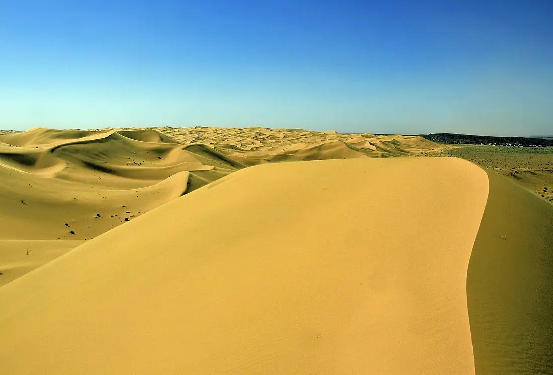 Taghit 14