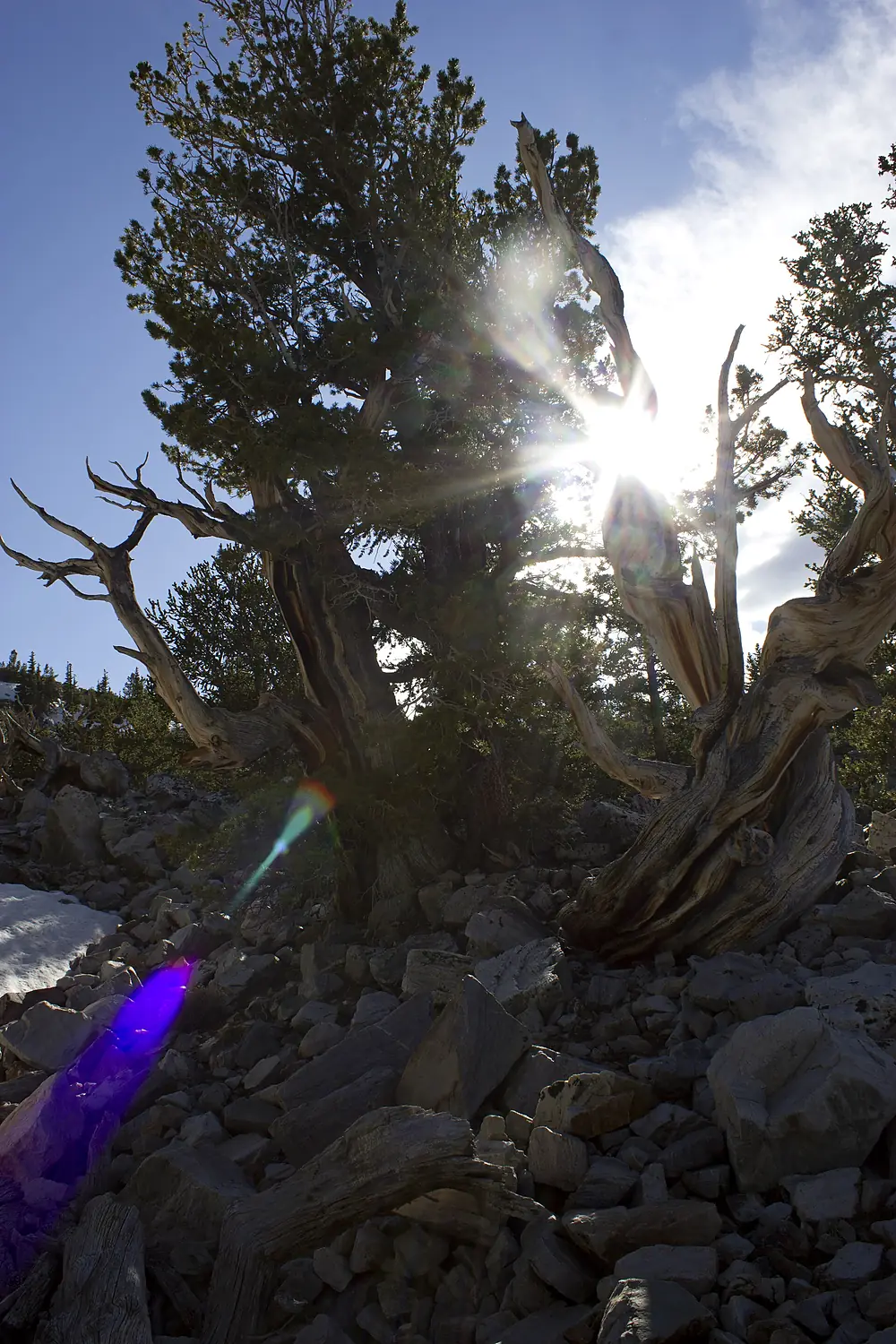 Great Basin 03