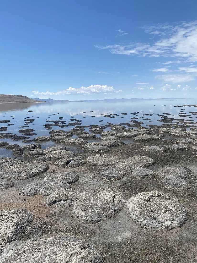 Bridger Bay Antelope Island Utah