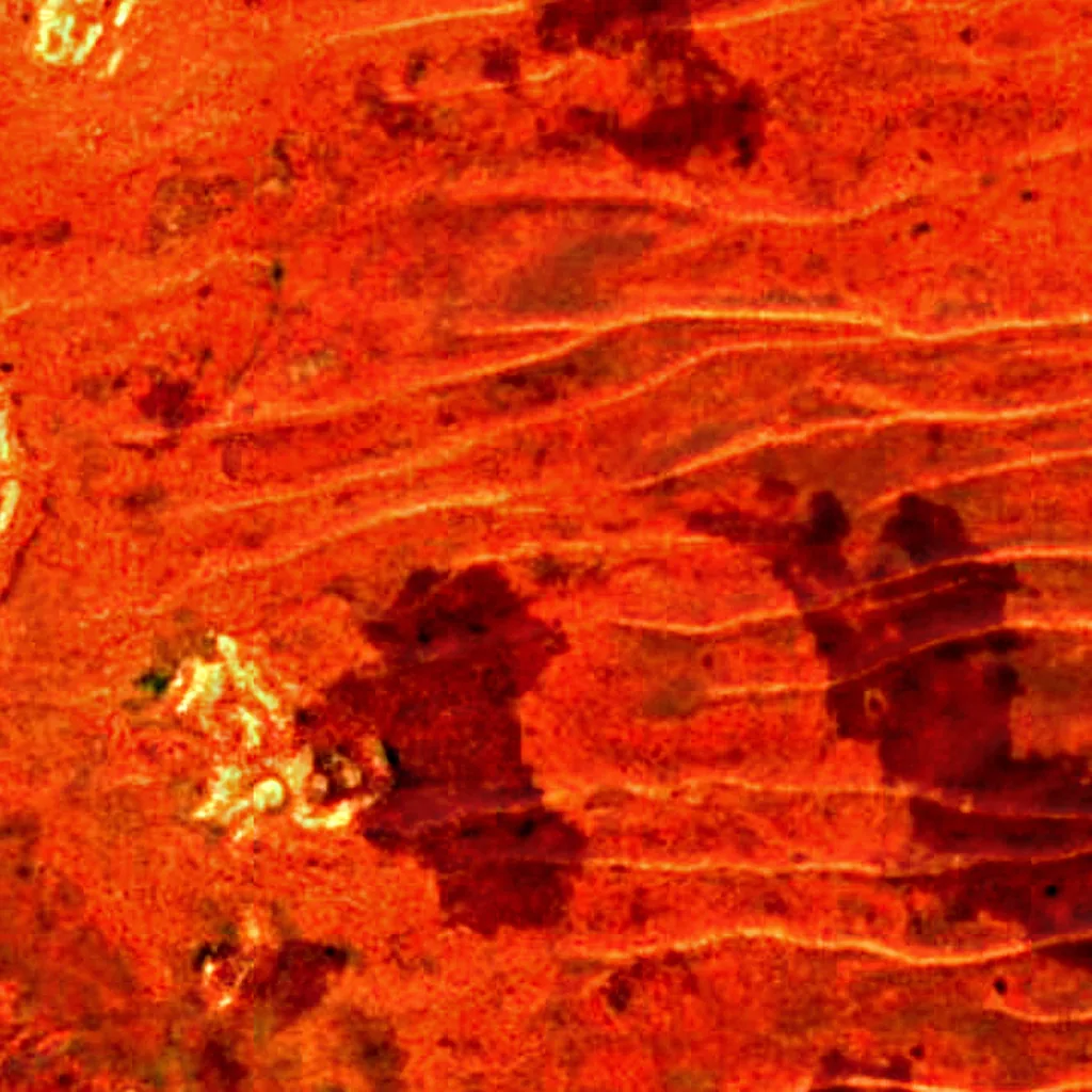 Große Victoria-Wüste von oben gesehen (Sentinel-2)