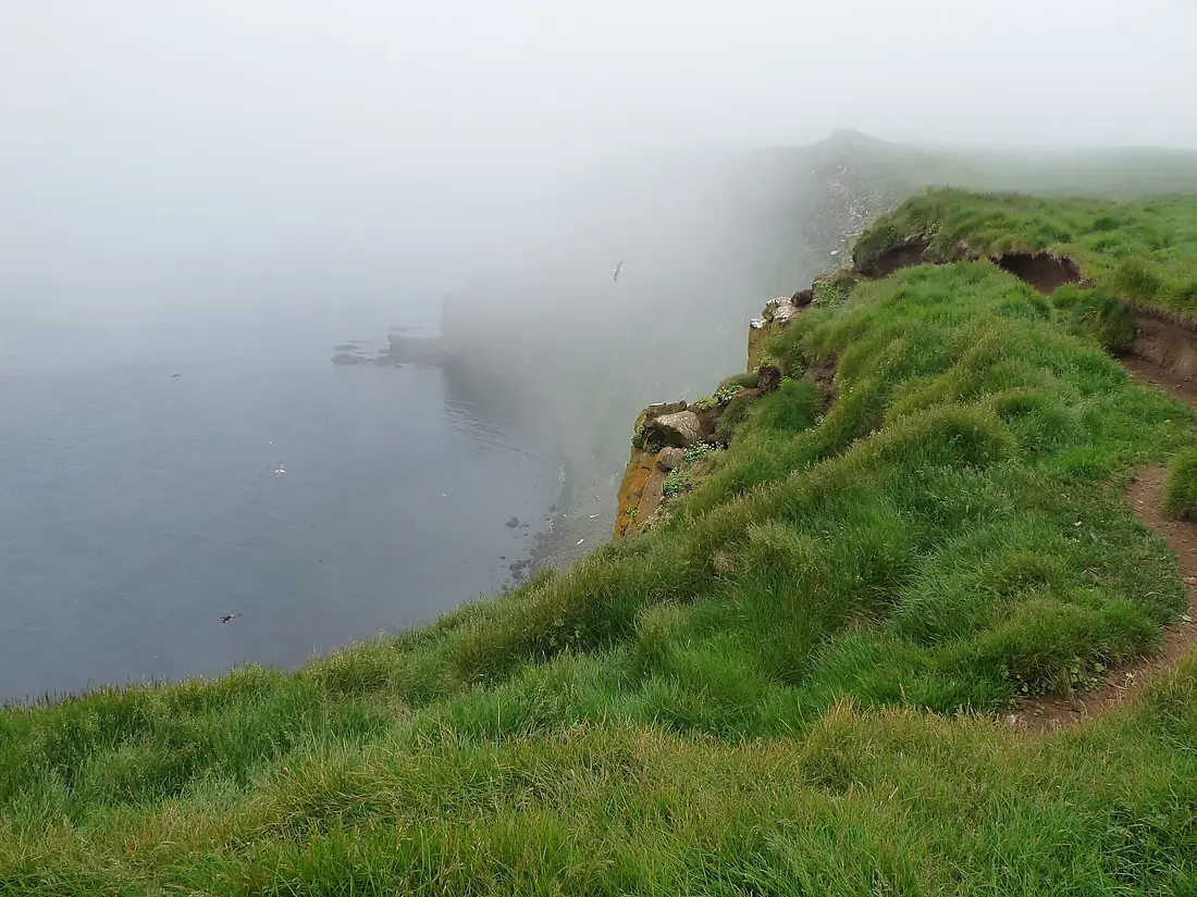 Grimsey 2017 14