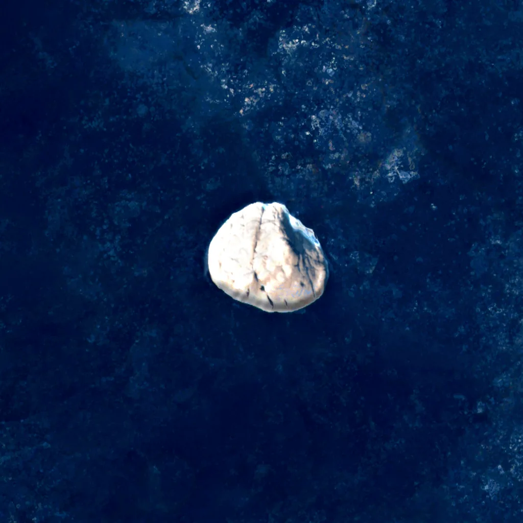 Isla Hans visto desde arriba (Sentinel-2)