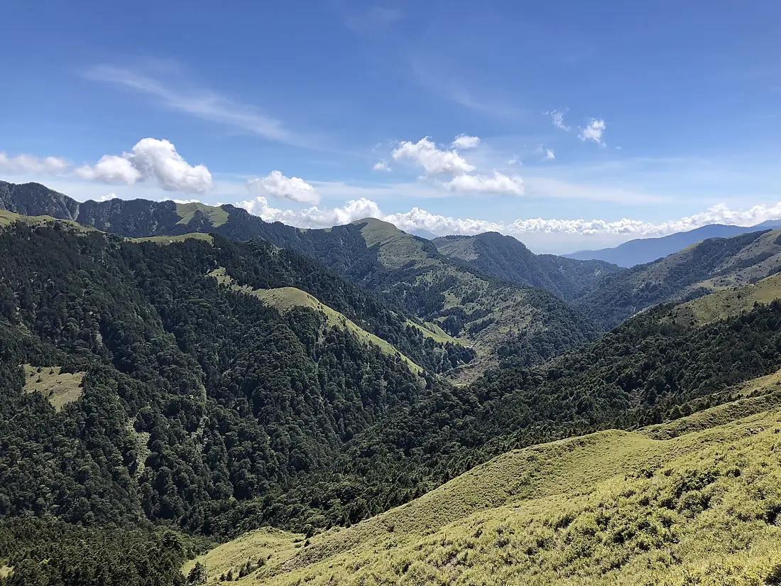 The Valley