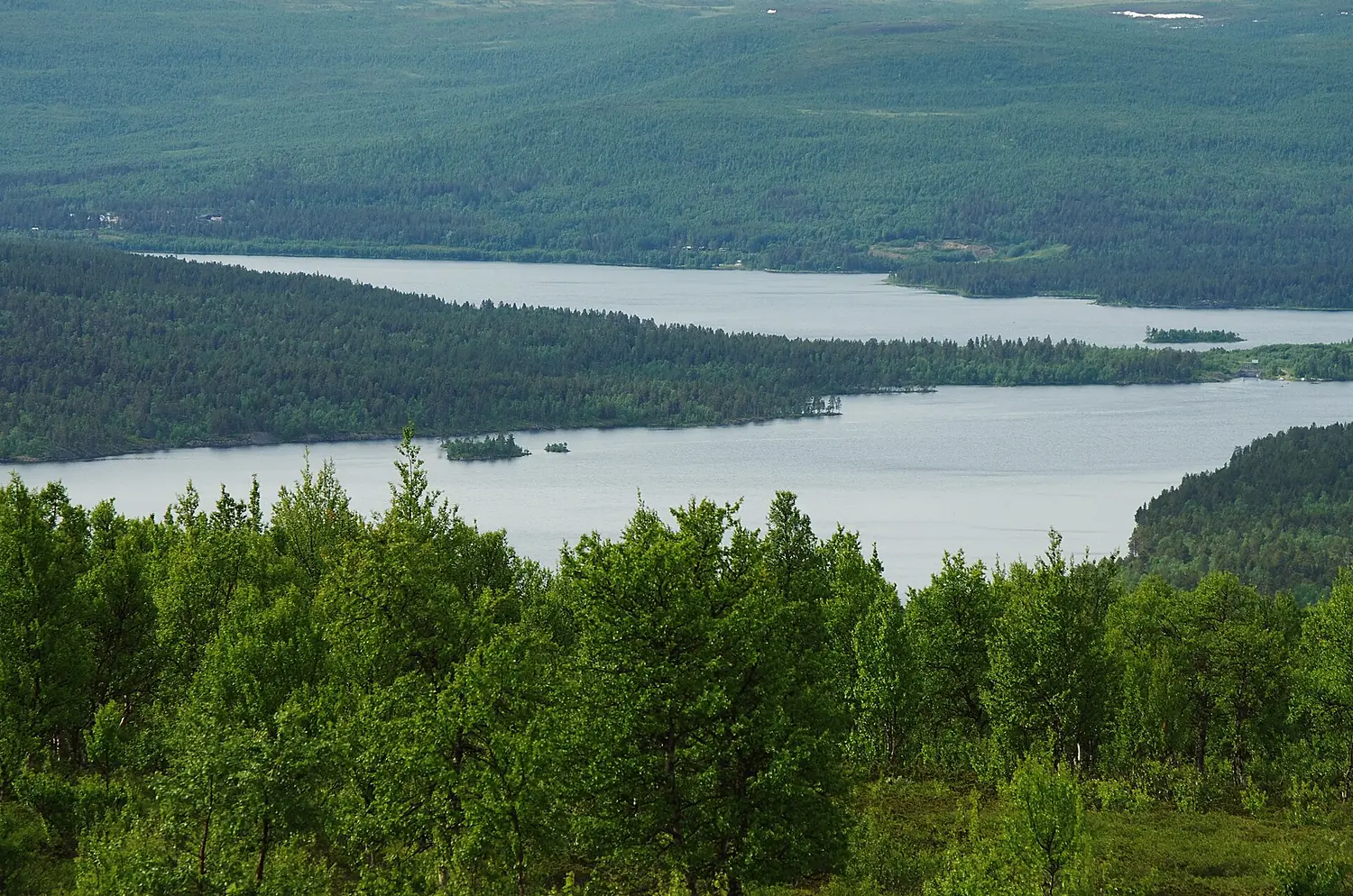 Hornavan (Tjärvek) 09