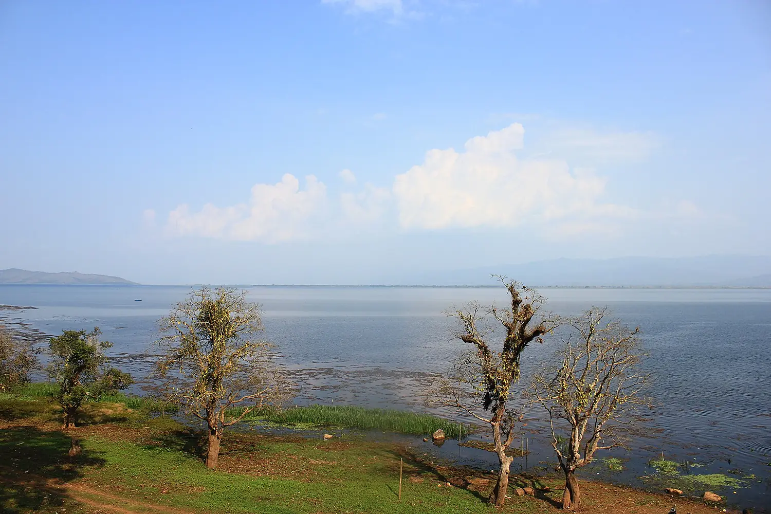 Indawgyi