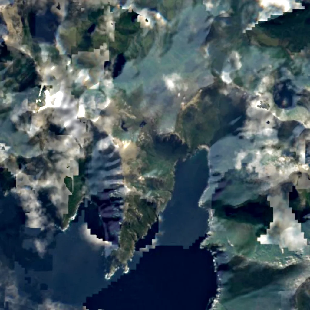 Stateneiland van boven gezien (Sentinel-2)
