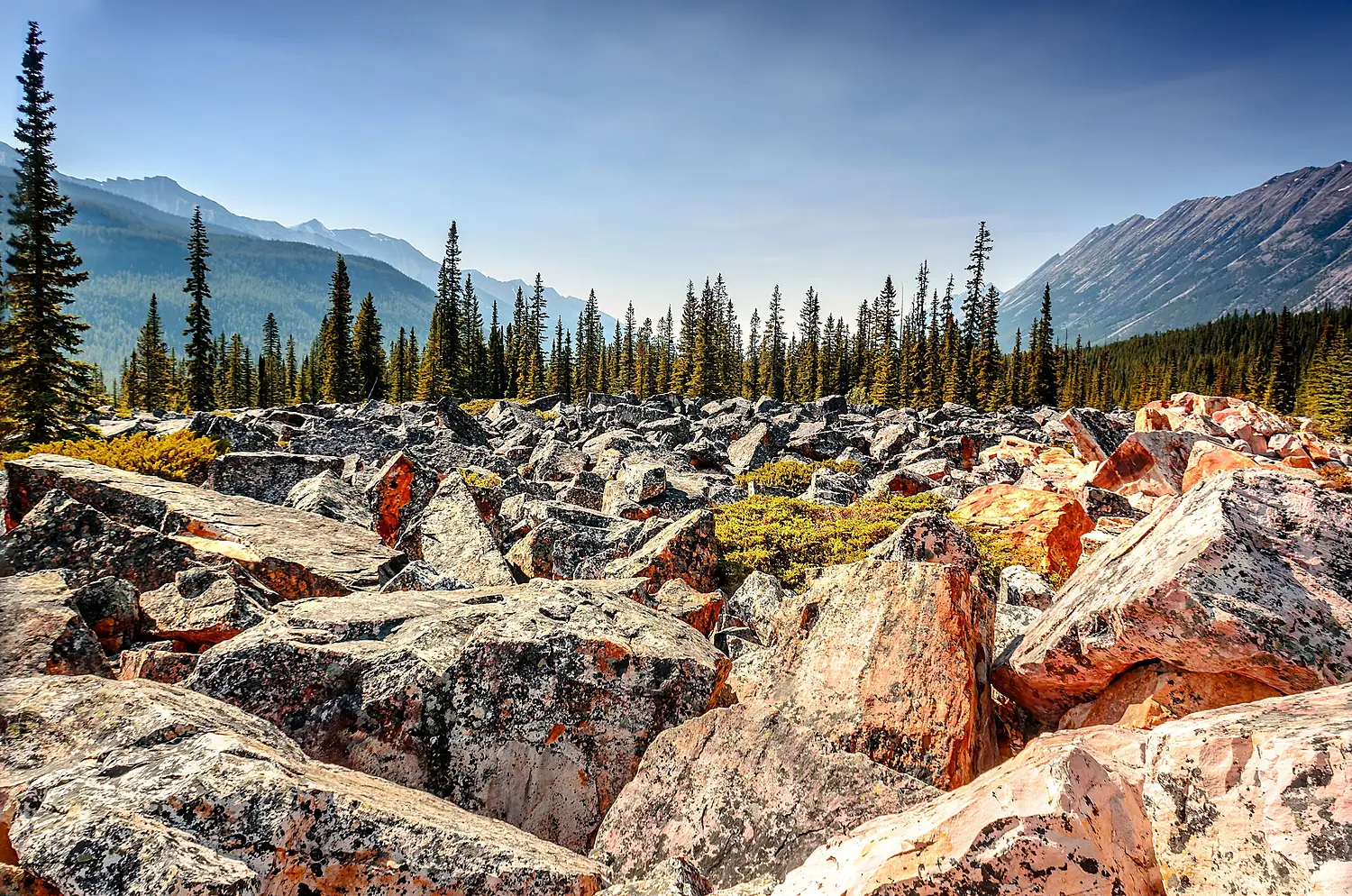 A field of rocky boulders in the valley between the mountains in Jasper National Park, in the Canadian Rockies