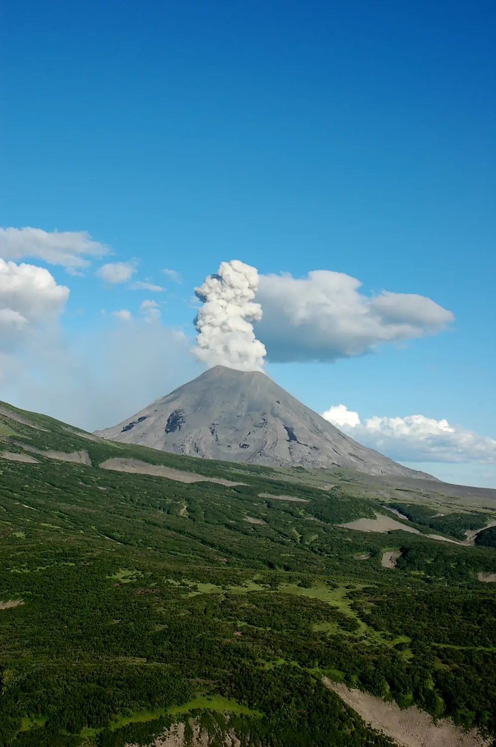 Volcanoes of Kamchatka - DSC 5954 (4880867437)