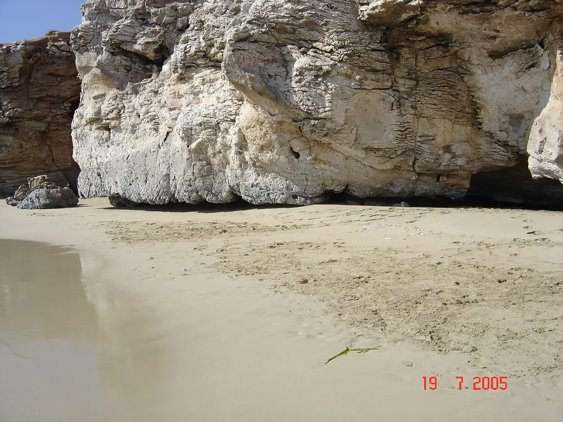 Μαράθι, Κάσος